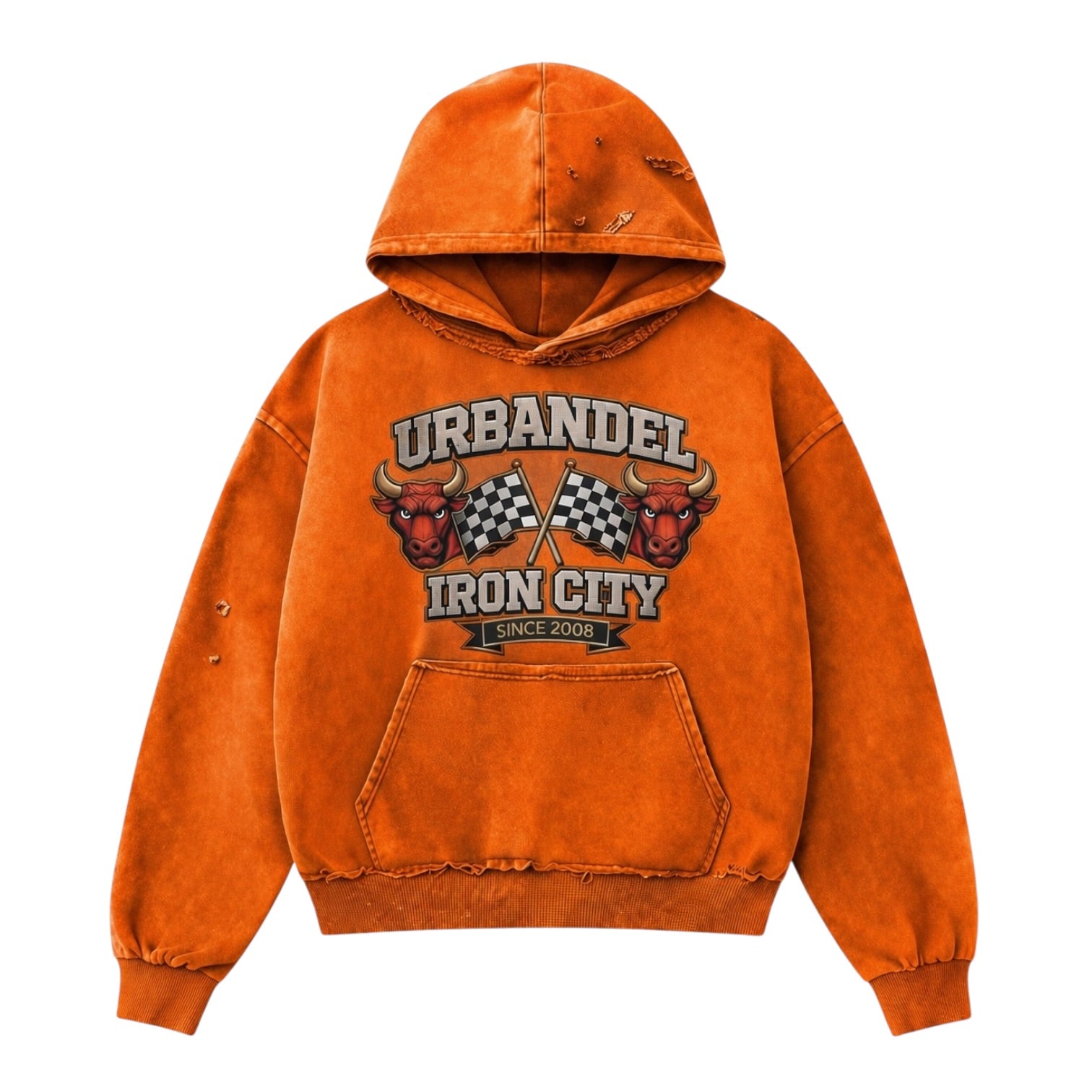 Blaze Iron City Bull” Vintage Hoodie
